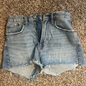 Abercrombie & Fitch Curve Love High Rise Mom Short Size 26/2